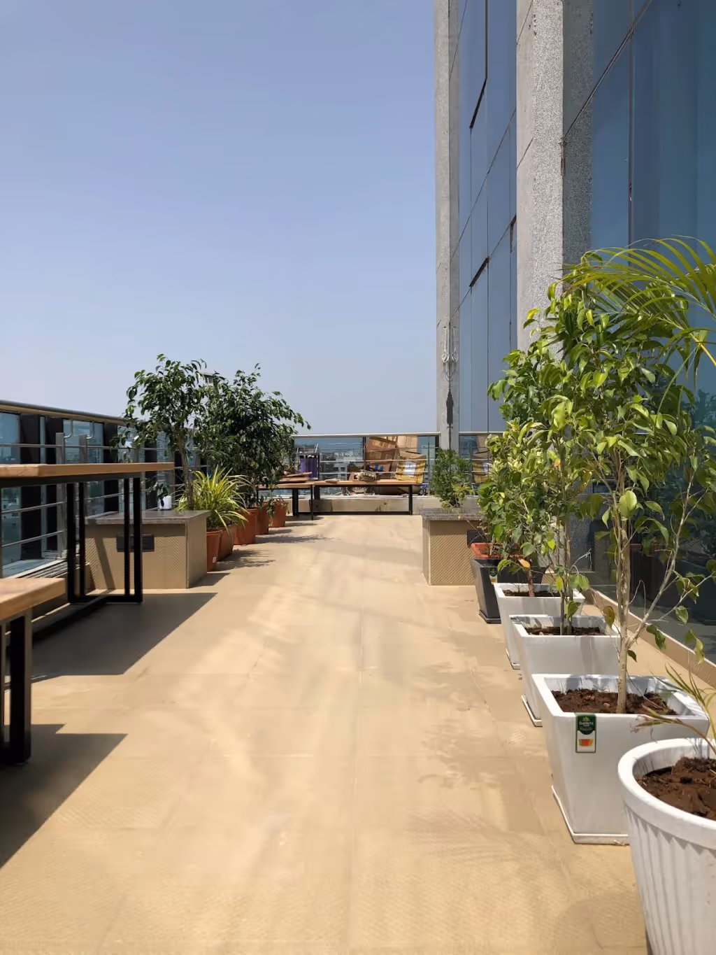 A Sneak Peek into ikigai HQ — photo 10